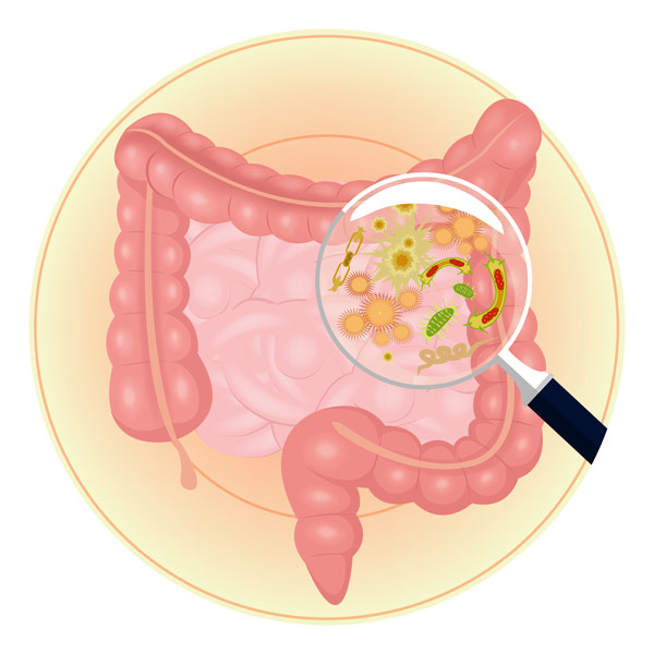 probiotics-image-2.jpg